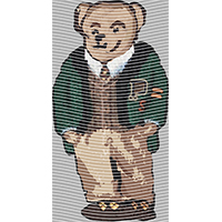 Brand Catalog-ZX 448